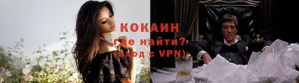 дживик Арсеньев