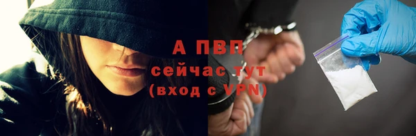 дживик Арсеньев