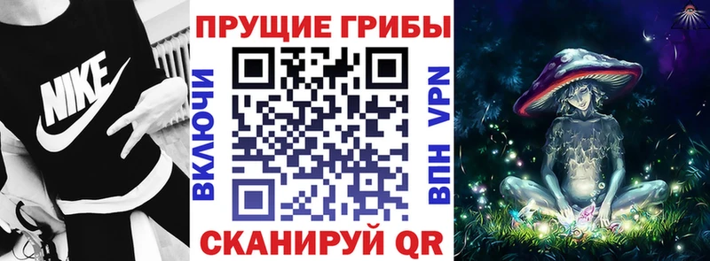 Галлюциногенные грибы прущие грибы  закладка  Сегежа 